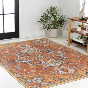 Bijan Traditional Vintage Medallion Reversible Machine-Washable Indoor/Outdoor Area Rug